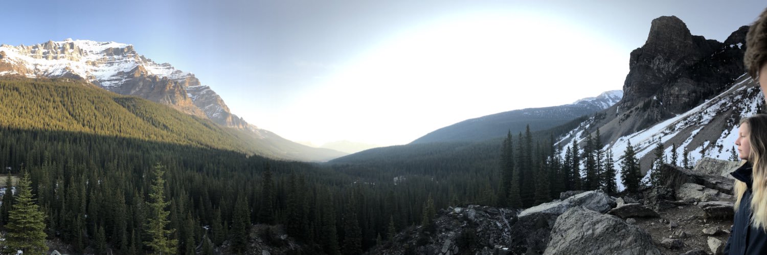 jaymeburgard's profile banner image
