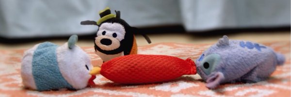 dssiegel Profile Banner