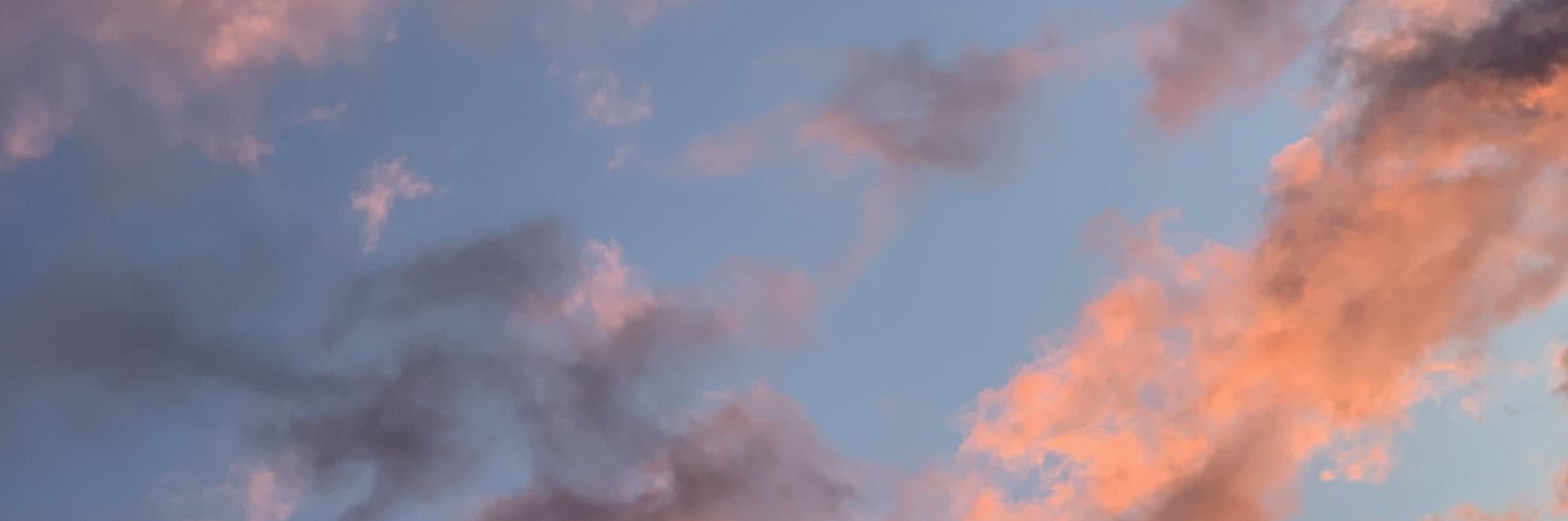 MolleeJain's profile banner image