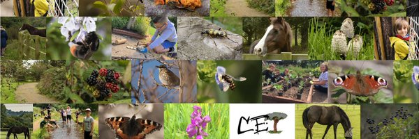 CETBrum Profile Banner