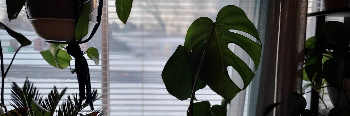 cahleeeen's profile banner image