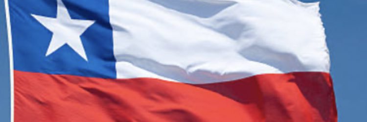 Cecilia Gonzalez S banner