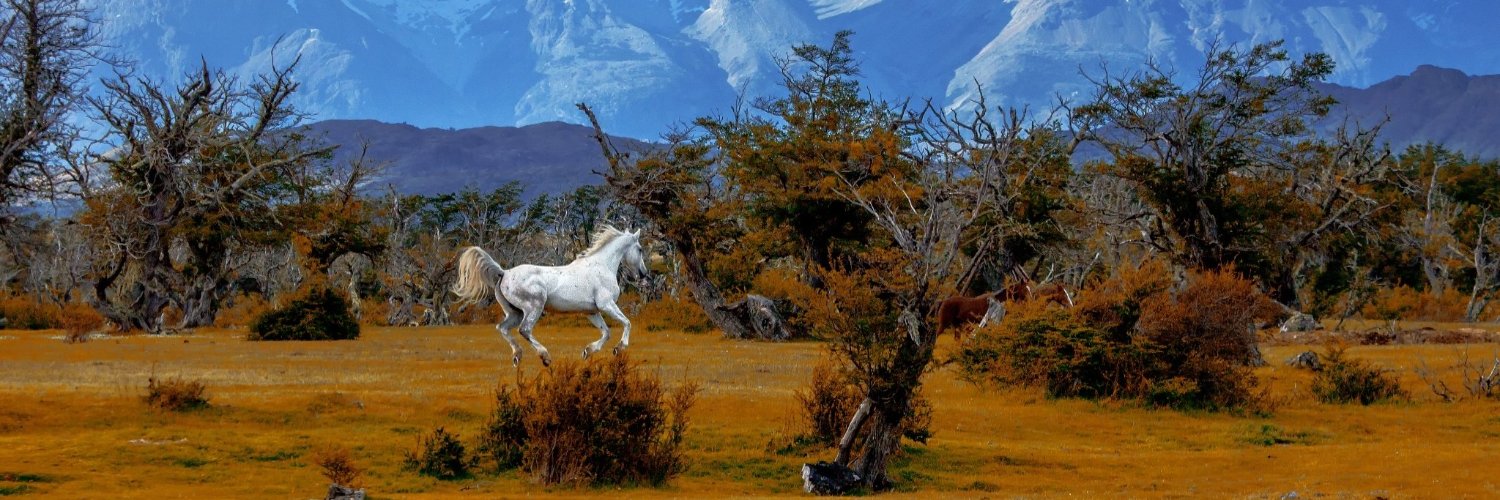 htoalbornoz's profile banner image