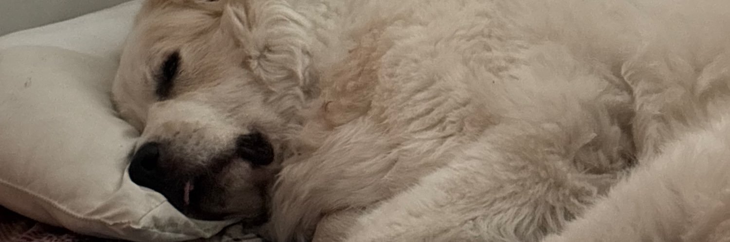 Colleen Young banner