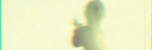 desirmimpi's profile banner image