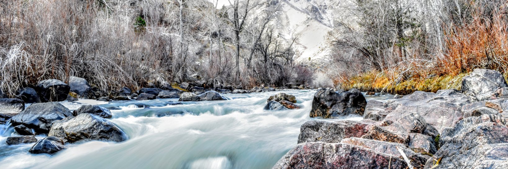 Colorado Event Guide banner