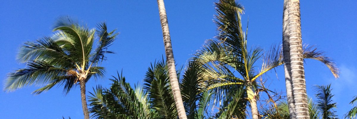 KayWreckless's profile banner image