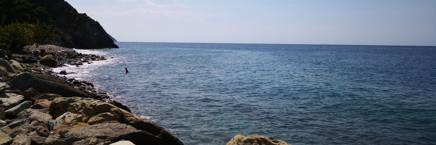 vladimircelis's profile banner image