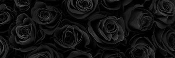 _Superrnova's profile banner image
