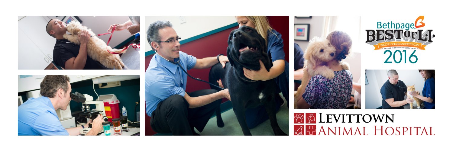 LevittownVet's profile banner image
