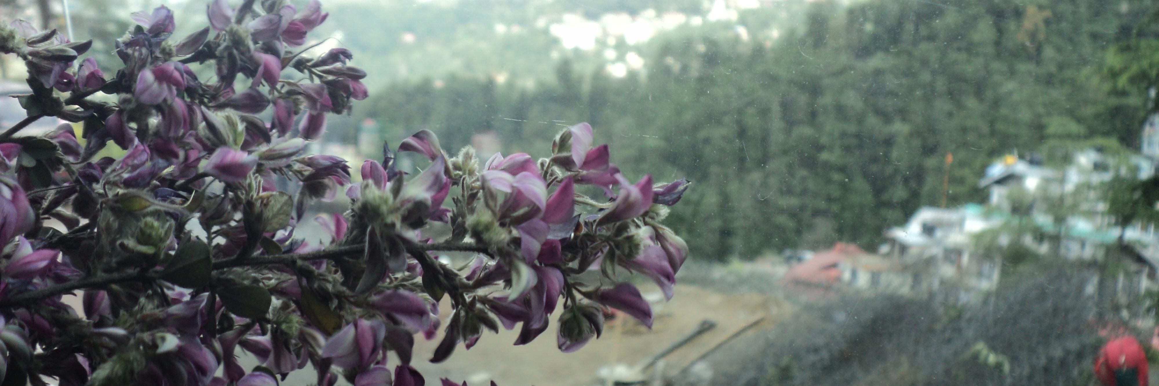 Som291086's profile banner image