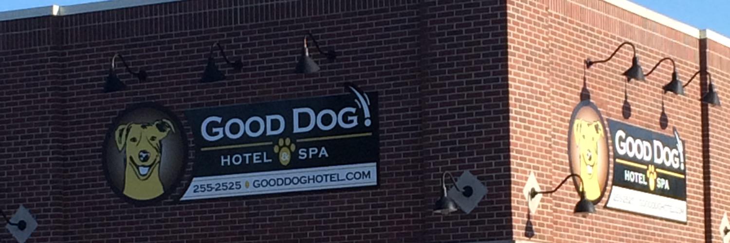 GoodDogIndy's profile banner image