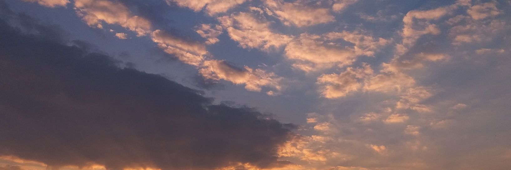 i_volkovaaa's profile banner image