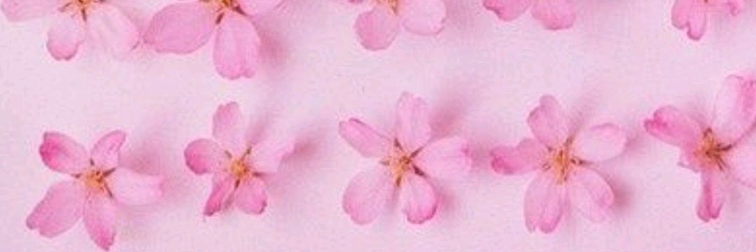 Deliafdz's profile banner image