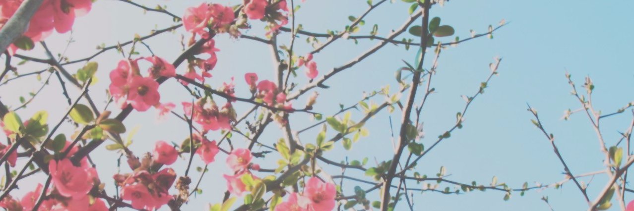 KKEDAVRAA's profile banner image