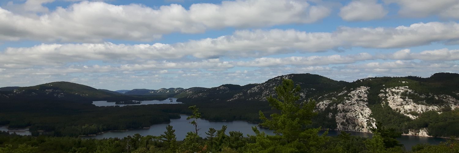 Stephanie Bergman (she/her) banner