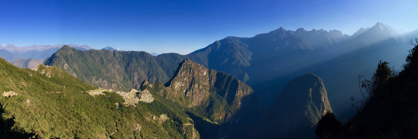 Charlotte Rajasingh banner