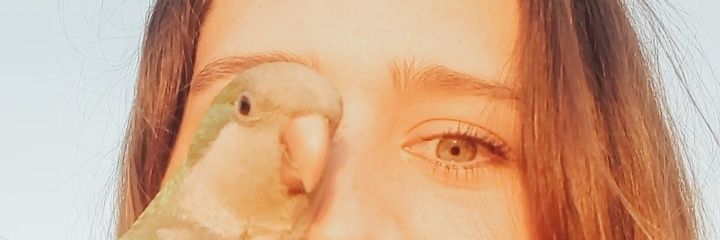 sofasofisofo's profile banner image