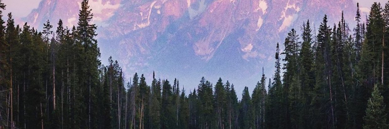 CastoEmily's profile banner image