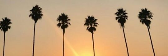 HeeiidyM's profile banner image