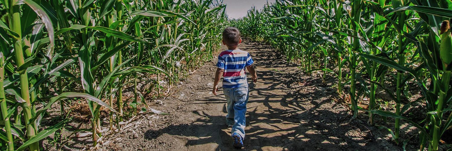 BH_CornMaze's profile banner image