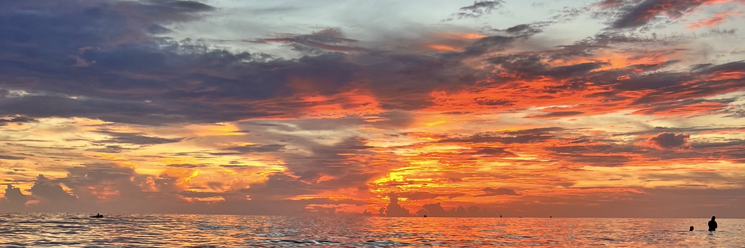sosouthern87's profile banner image