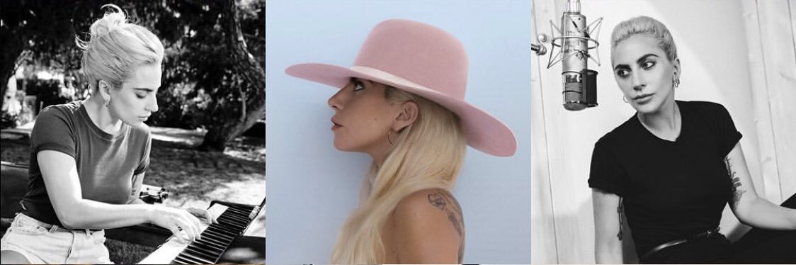 jurídico chay suede banner