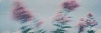 Nerdferatum's profile banner image