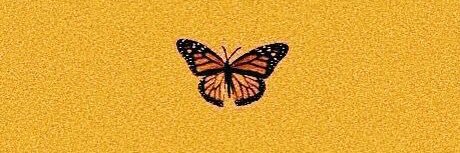 lalanicole96's profile banner image