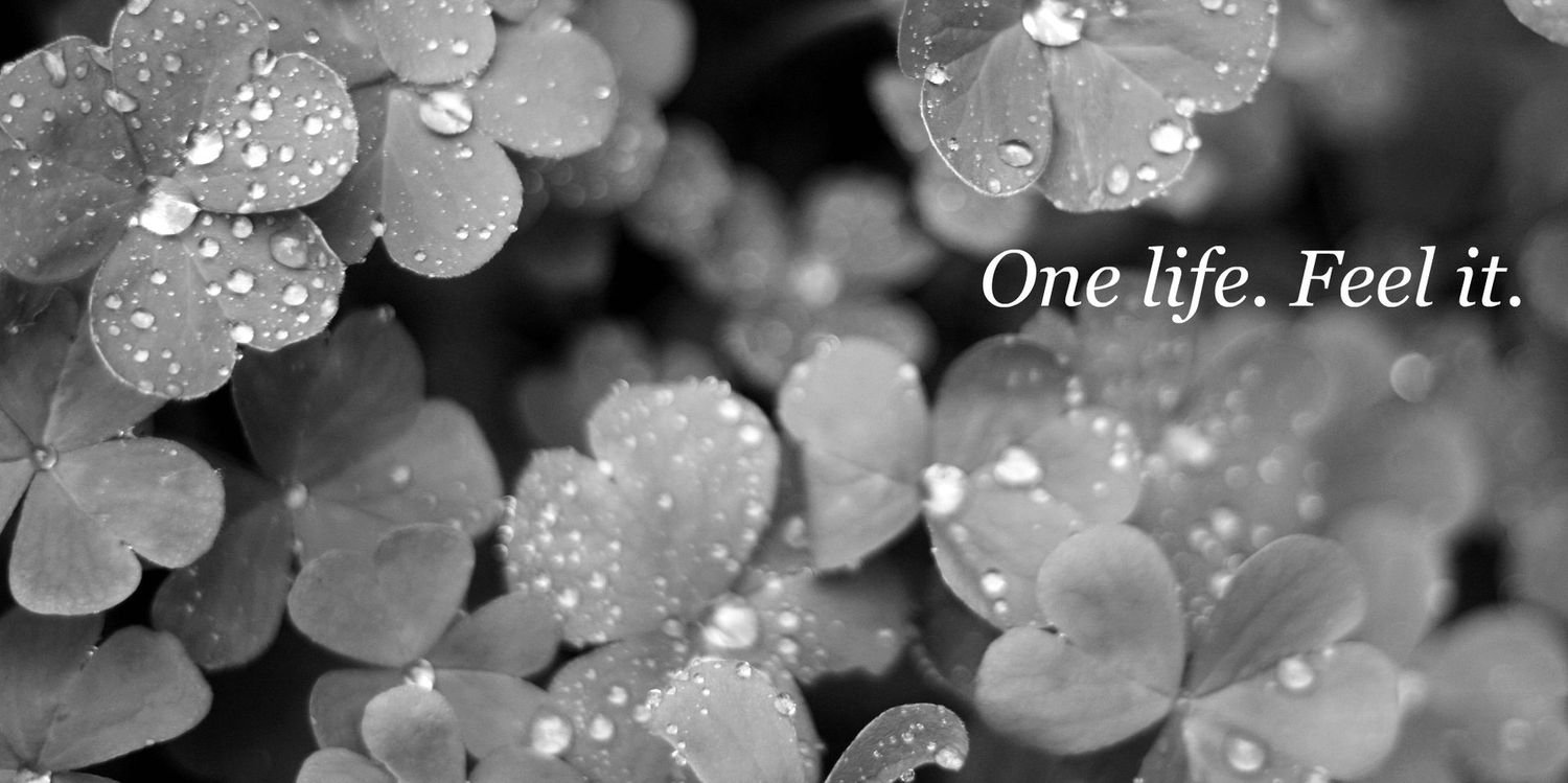 soymeliserrano's profile banner image