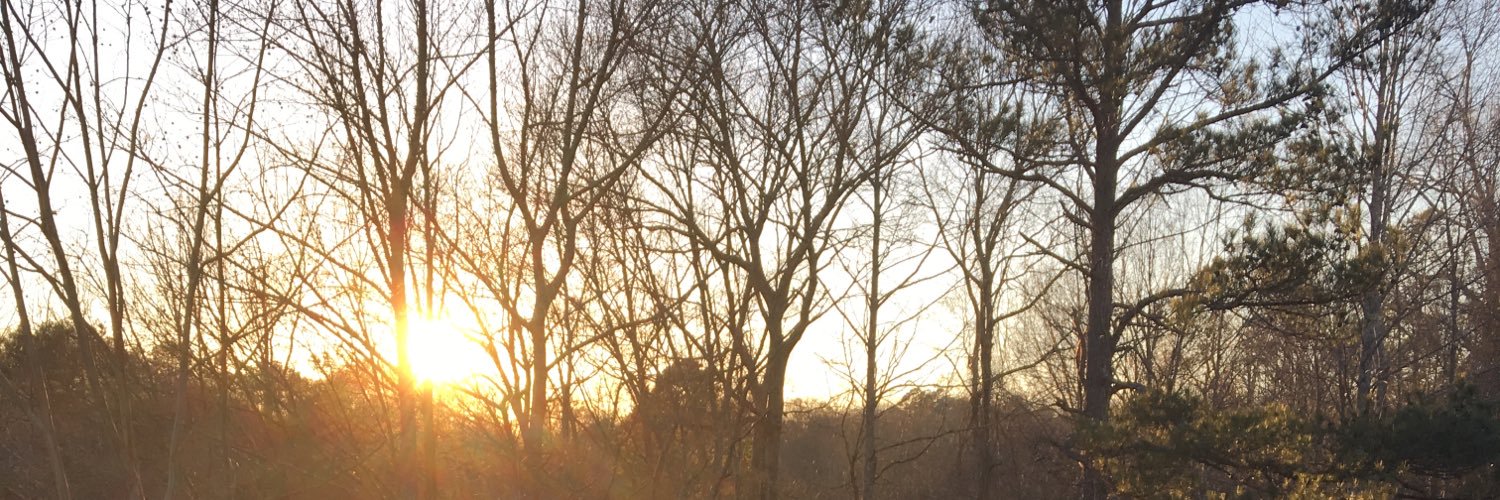 Alex_aka_GC's profile banner image