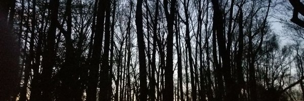 sargent_bosco Profile Banner