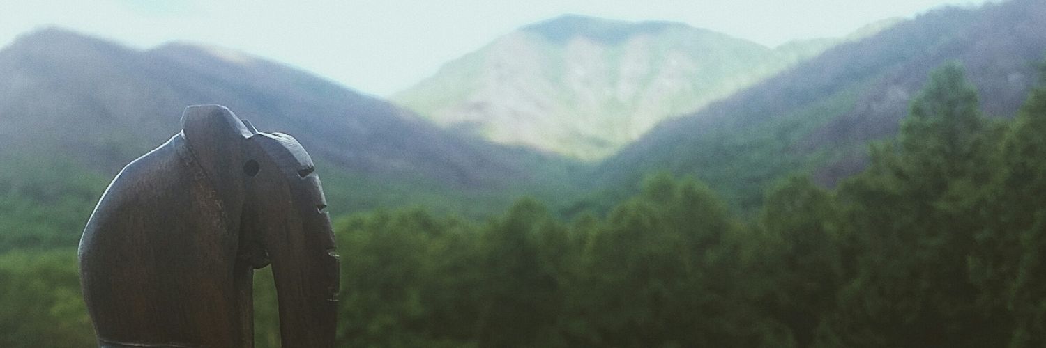 hannah_scott16's profile banner image