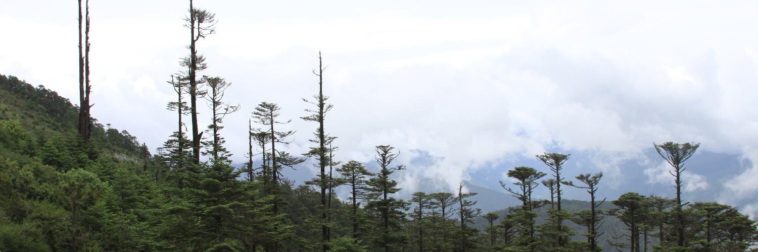 Tshering_TP's profile banner image