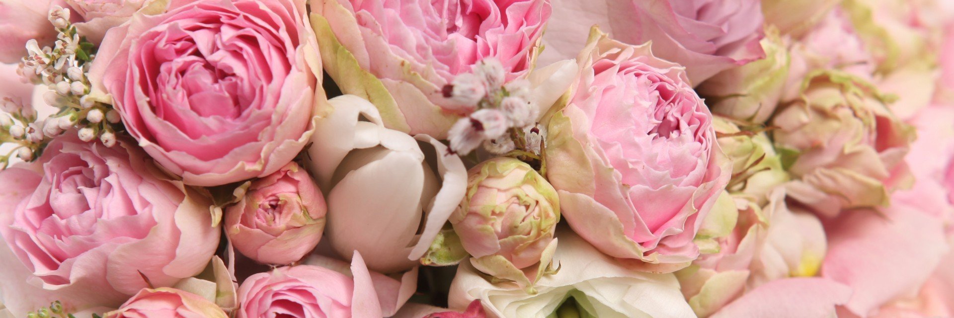 nataliya_twit's profile banner image
