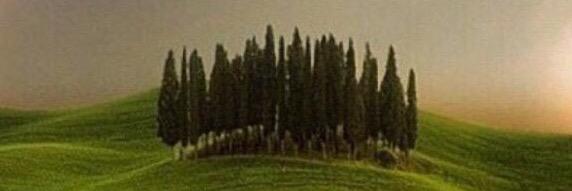 aoj321's profile banner image