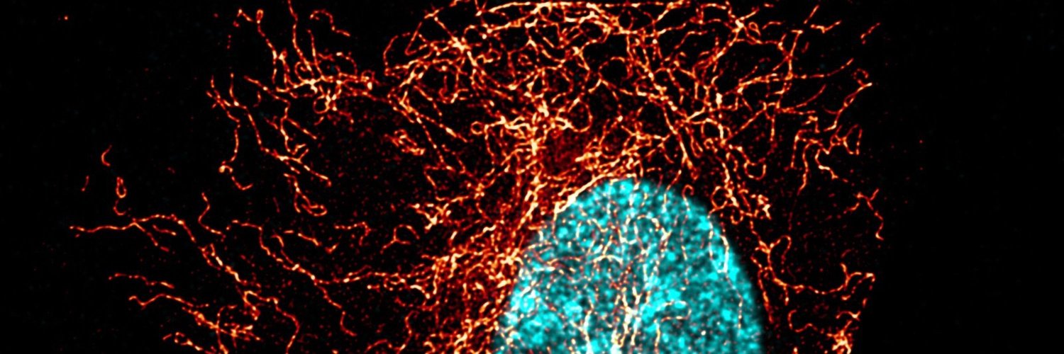 Quentin Frenger banner