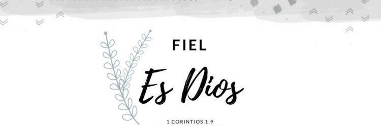 ShamsiFreille's profile banner image