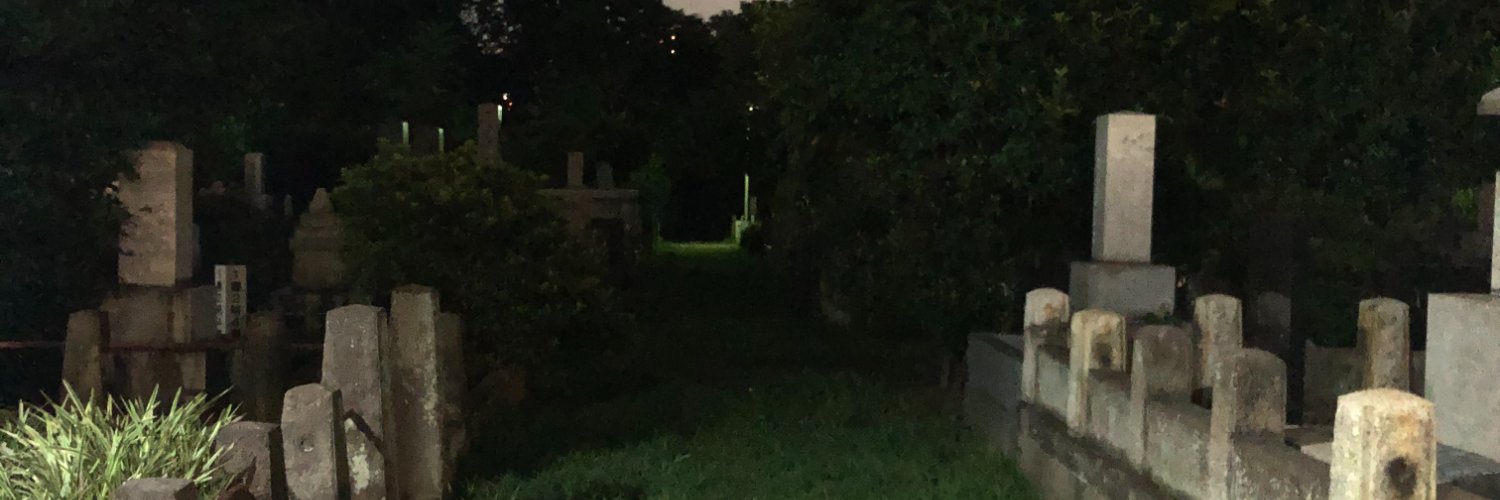 occultlink's profile banner image