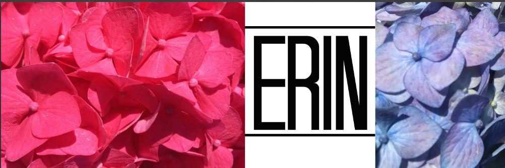 Erin__Ireland's profile banner image