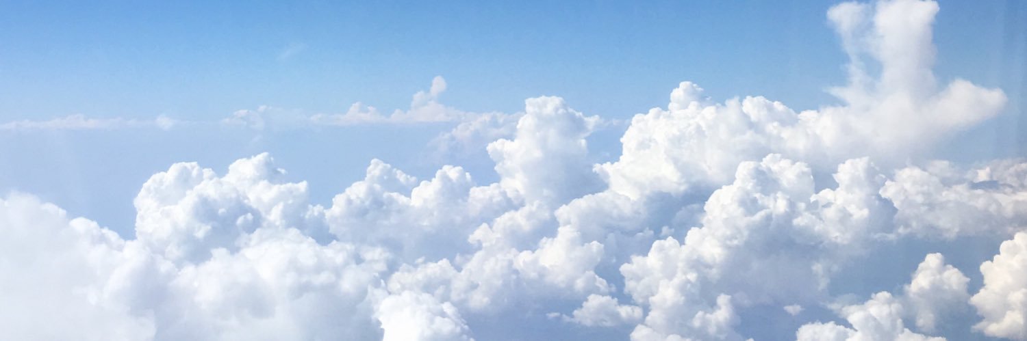 kristicarleton's profile banner image