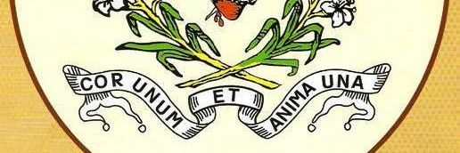 Spiritans Nigeria 🇳🇬 banner