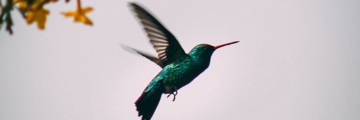 alee_cis's profile banner image