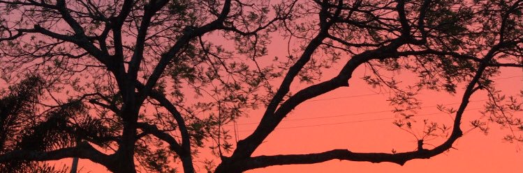 andressacmd's profile banner image