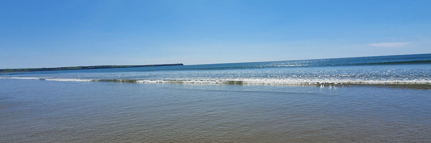 OBrienRachel's profile banner image