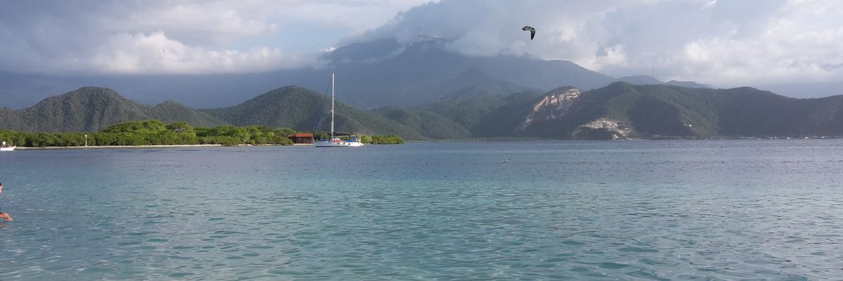Simon__Saldivia's profile banner image