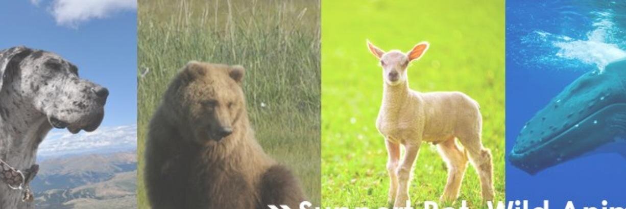 LoveAnimalsorg's profile banner image