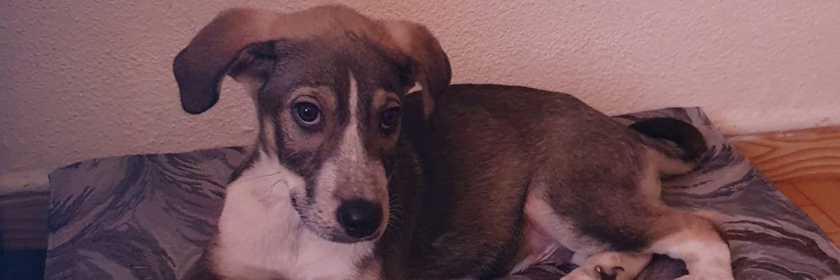 vickymp77's profile banner image