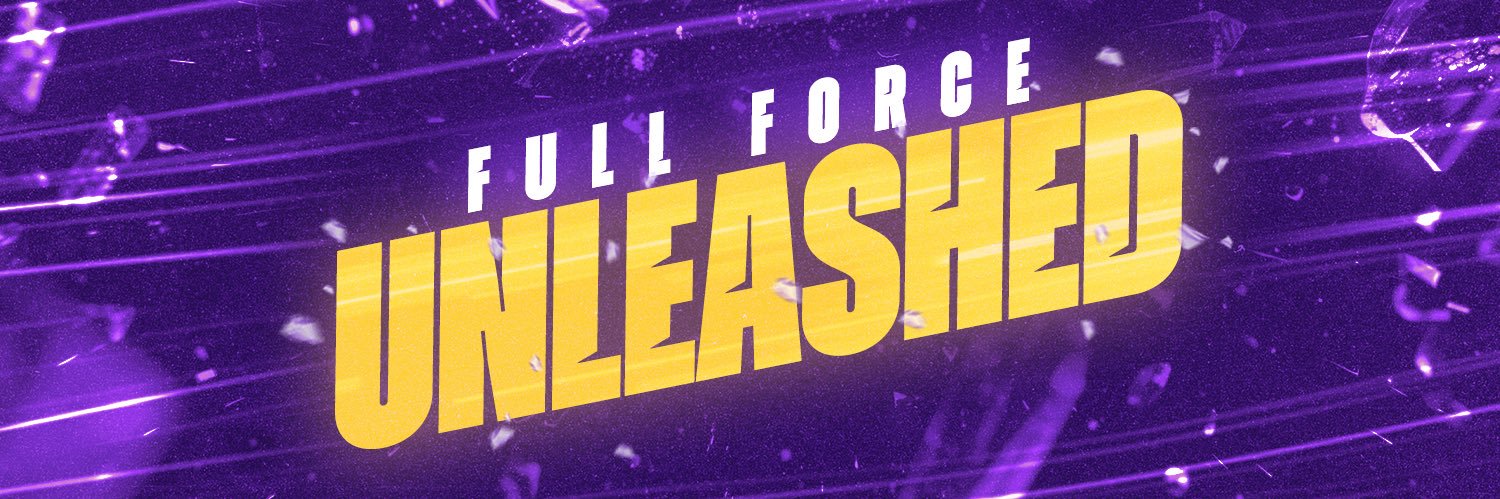 LSU Volleyball's banner