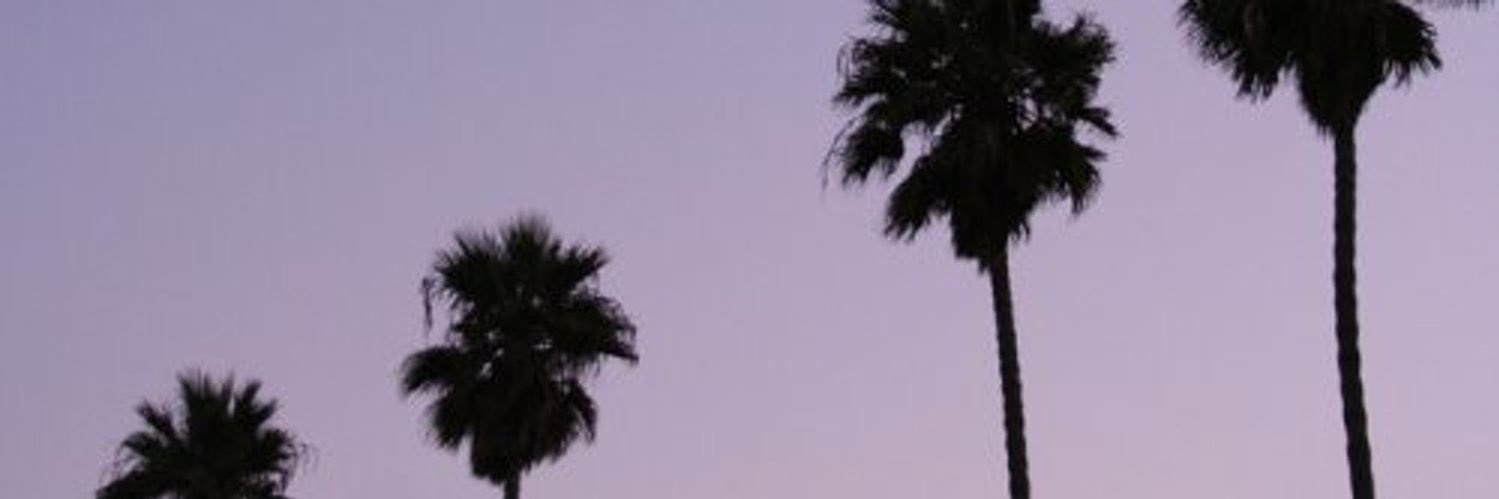 tyweo's profile banner image